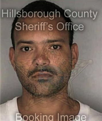 Kyle Miller - Hillsborough County, FL 