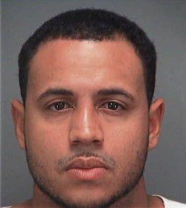 Luis Obandobravo, - Pinellas County, FL 