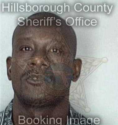 Brian Williams - Hillsborough County, FL 