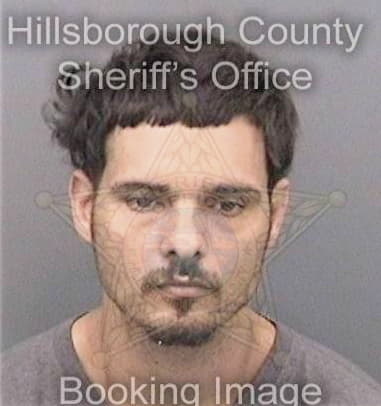 Brian Beird, - Hillsborough County, FL 