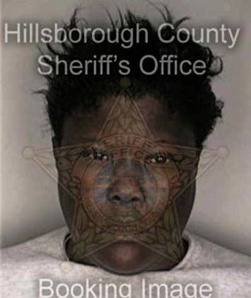 Tonya McCarther - Hillsborough County, FL 