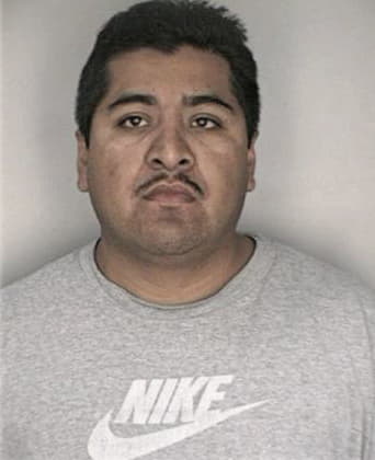 Nevin McLeran - Hillsborough County, FL 