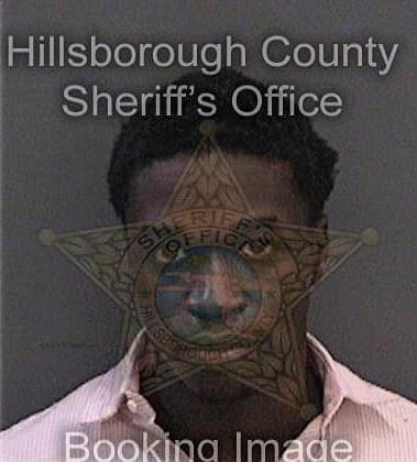 Deandre Nelson, - Hillsborough County, FL 