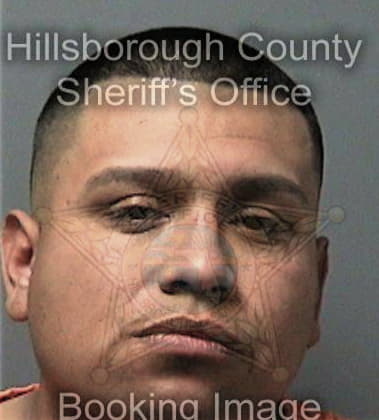 Felix Reyes, - Hillsborough County, FL 