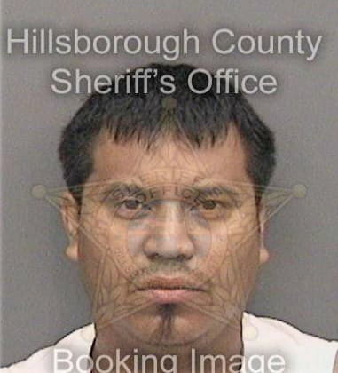 Joshua Bloom - Hillsborough County, FL 