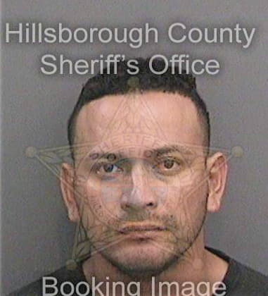 David Hosler, - Hillsborough County, FL 