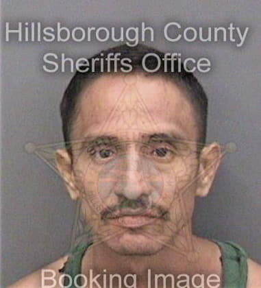 Sean Martin, - Hillsborough County, FL 