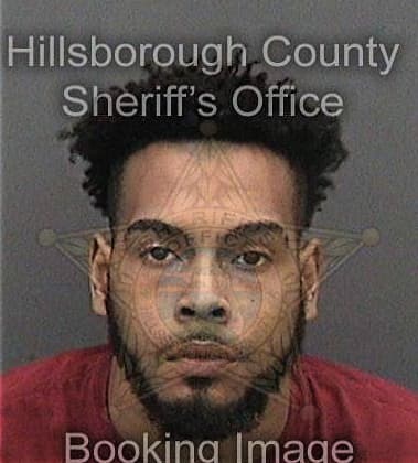 Arthur Billingsley - Hillsborough County, FL 