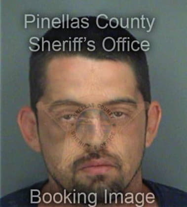 Kenneth Boggus, - Pinellas County, FL 