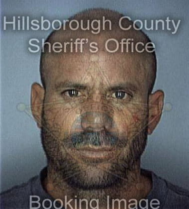 Mark Bright - Hillsborough County, FL 