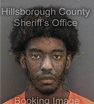 Samuel Desroches, - Hillsborough County, FL 