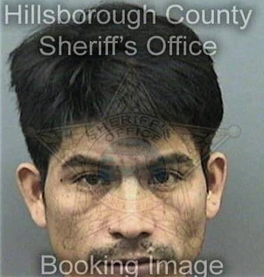 Anthony Gaulin, - Hillsborough County, FL 