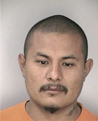 Ricardo Lugosanchez, - Hillsborough County, FL 