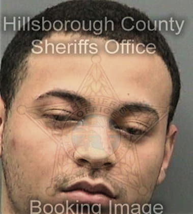 Michael McFarland - Hillsborough County, FL 