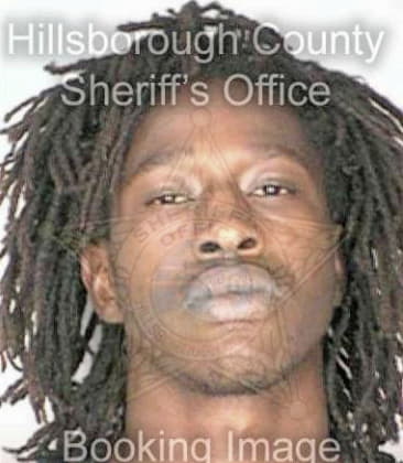 Kenneth Owens, - Hillsborough County, FL 