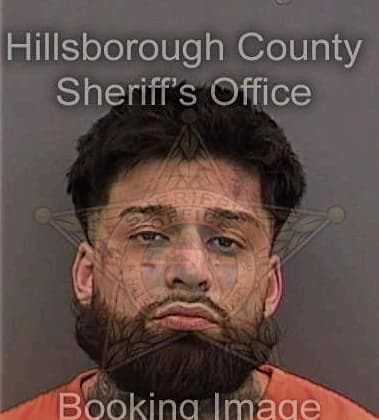 Luis Sanchez, - Hillsborough County, FL 