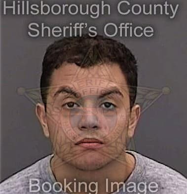 Justin Spiaggi, - Hillsborough County, FL 