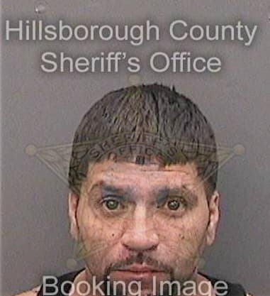 Larry Valladaresdelgado, - Hillsborough County, FL 