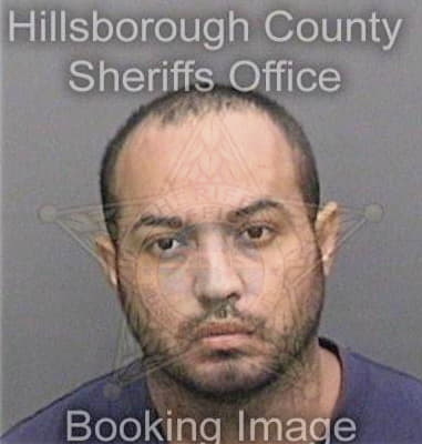 Kevin Whitehead - Hillsborough County, FL 