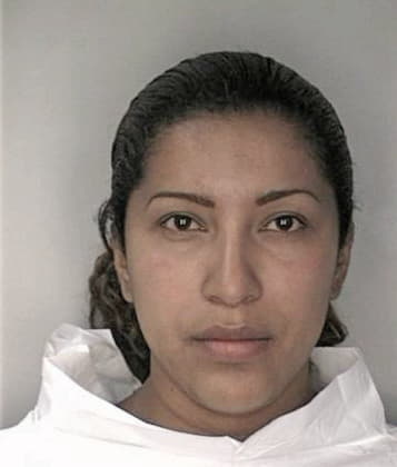 Johana Alverio, - Hillsborough County, FL 