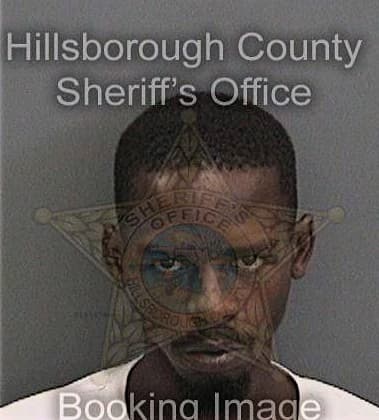 Theodore Bowers - Hillsborough County, FL 