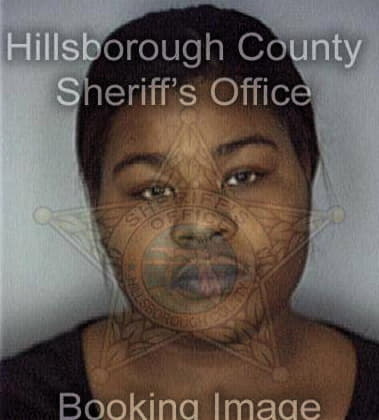 Lisa Mitchell - Hillsborough County, FL 