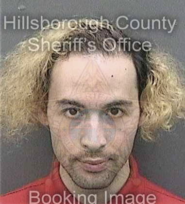 Luis Dejesusruiz, - Hillsborough County, FL 