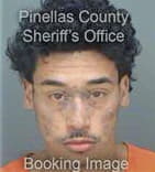 Ruben Delvalledelacruz, - Pinellas County, FL 