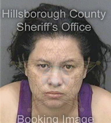 Lisa Fetters, - Hillsborough County, FL 