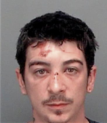 Marcello Guarnieri, - Pinellas County, FL 