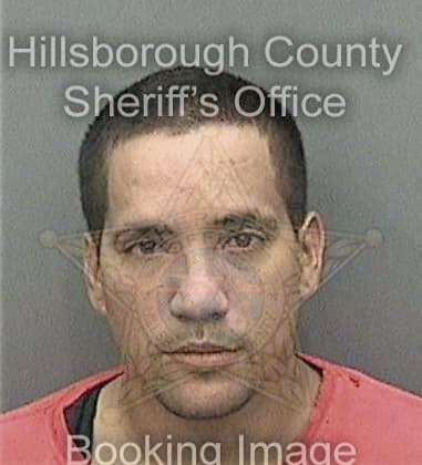 Steven Hansen, - Hillsborough County, FL 