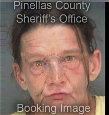 Joan McCabe - Pinellas County, FL 