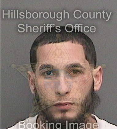 David Noakes, - Hillsborough County, FL 