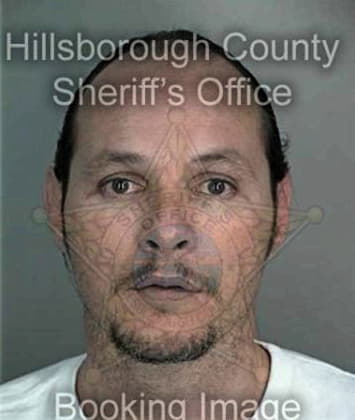 Dale Thomas, - Hillsborough County, FL 