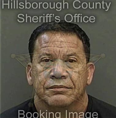 Enemias Vasquezgonzalez, - Hillsborough County, FL 