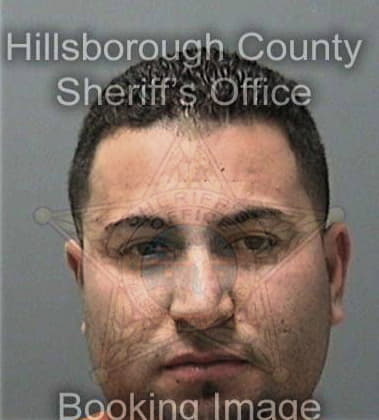 Perez Apolonio, - Hillsborough County, FL 