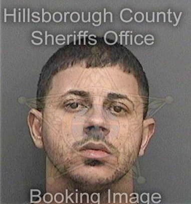 Daniel Bowers - Hillsborough County, FL 