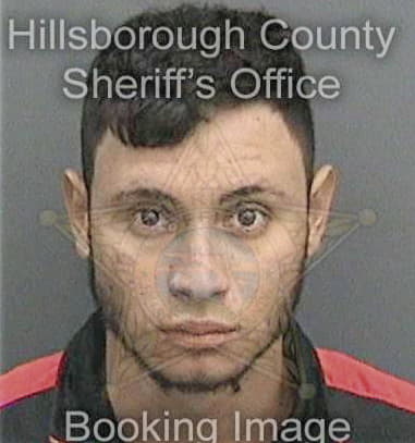 Daniel Coan - Hillsborough County, FL 