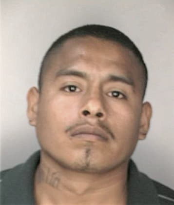 Austin Collins - Hillsborough County, FL 