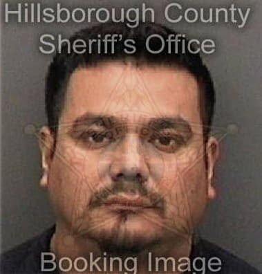 Oscar Estradaalvarez, - Hillsborough County, FL 