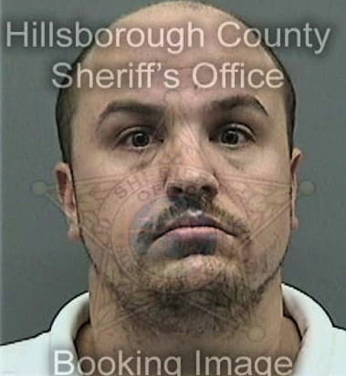 Pedro Palominoreyes, - Hillsborough County, FL 