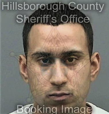 Rafael Reyesmendez, - Hillsborough County, FL 