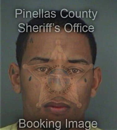 Luis Schomaker, - Pinellas County, FL 