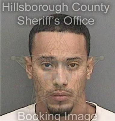 Matthew Tweel, - Hillsborough County, FL 