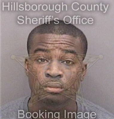 Brian Wallace, - Hillsborough County, FL 