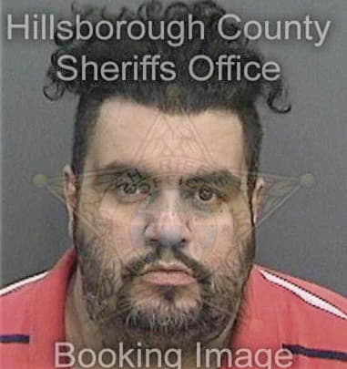 Frank Ferrerahurtado, - Hillsborough County, FL 