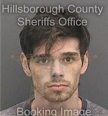 Lewis King, - Hillsborough County, FL 