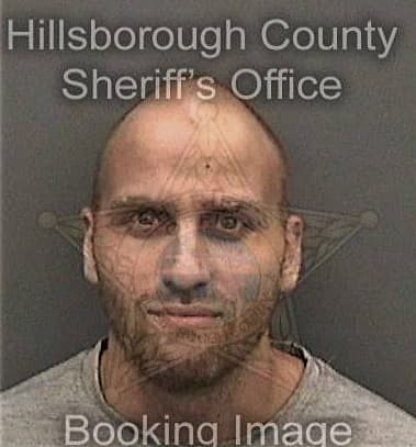 Wilson Negron-Rodriguez, - Hillsborough County, FL 