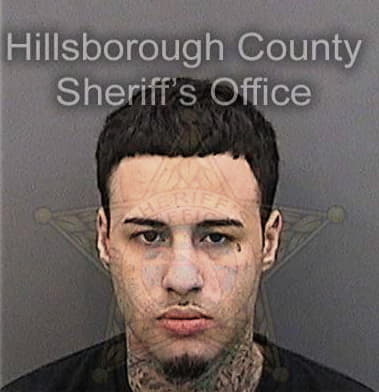 Pablo Serrano, - Hillsborough County, FL 