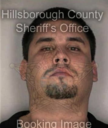 Luis Valencino, - Hillsborough County, FL 